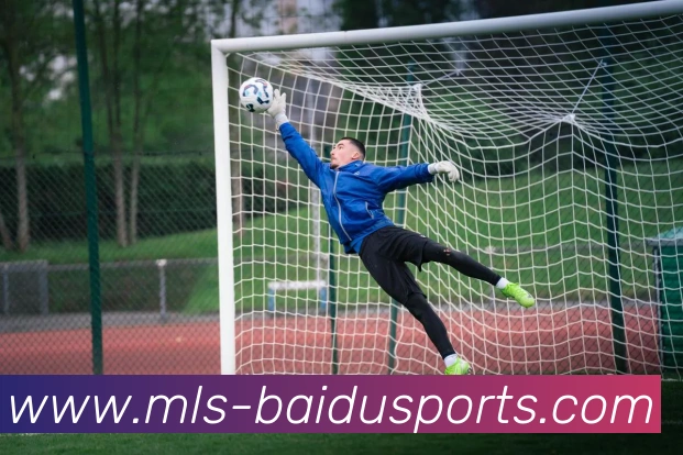 百度体育平台生态图