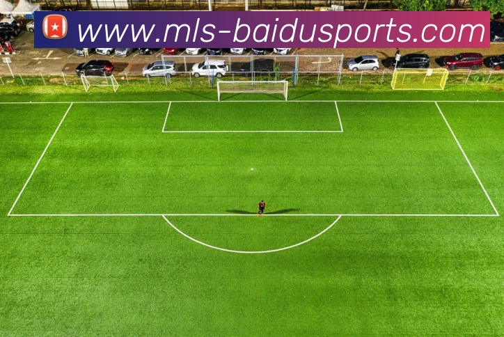 百度体育APP 封面图